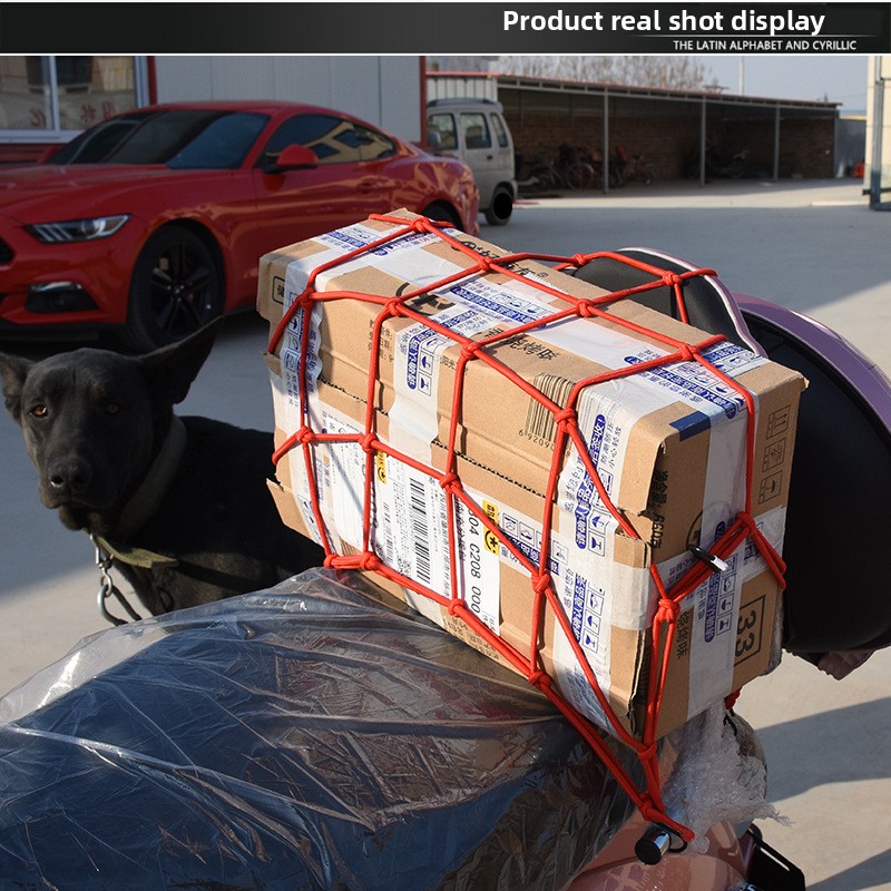 Heavy-Duty Luggage Net - Elast - Car Cargo Net Trunk ulasan dan harga