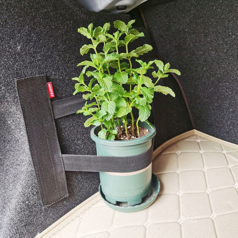 Car Trunk Elastic Mesh Fixed S - Car Cargo Net Trunk ulasan dan harga